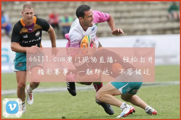 66111.com澳门现场直播，轻松打开，精彩赛事，一触即达，不容错过，尽享视听盛宴