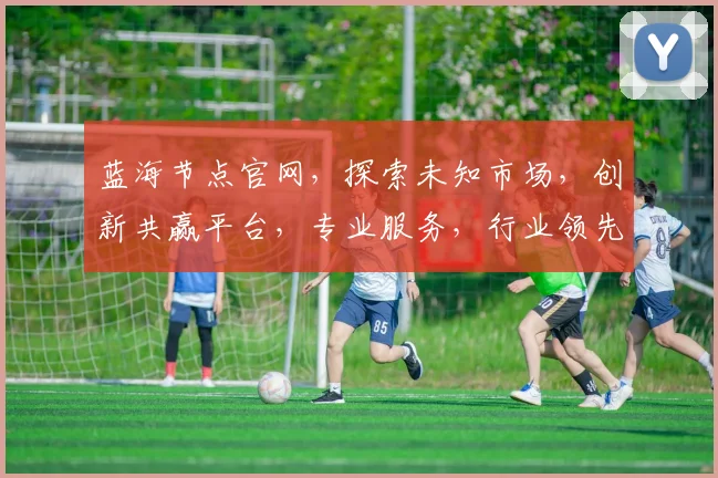 蓝海节点官网，探索未知市场，创新共赢平台，专业服务，行业领先，值得信赖，一站式解决方案。